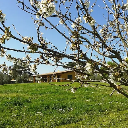 Dom wakacyjny Vigna Di Valle